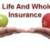 Complete Guidance about Term Life And Whole Life Insurance