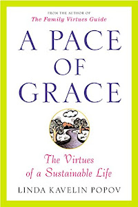 A Pace of Grace: The Virtues of a Sustainable Life