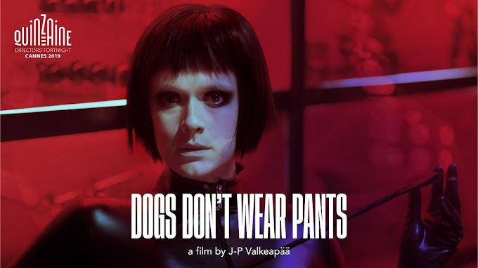 Dogs Don't Wear Pants 2019 | Dual Audio Movie HD