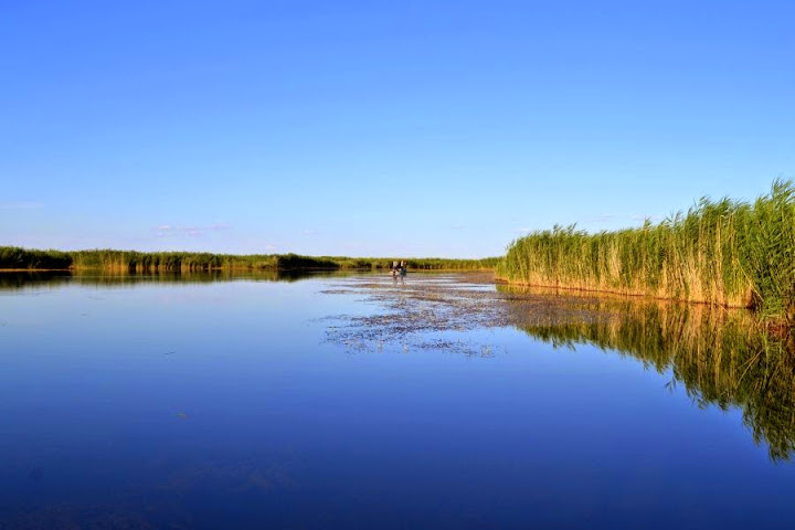 FischerSee