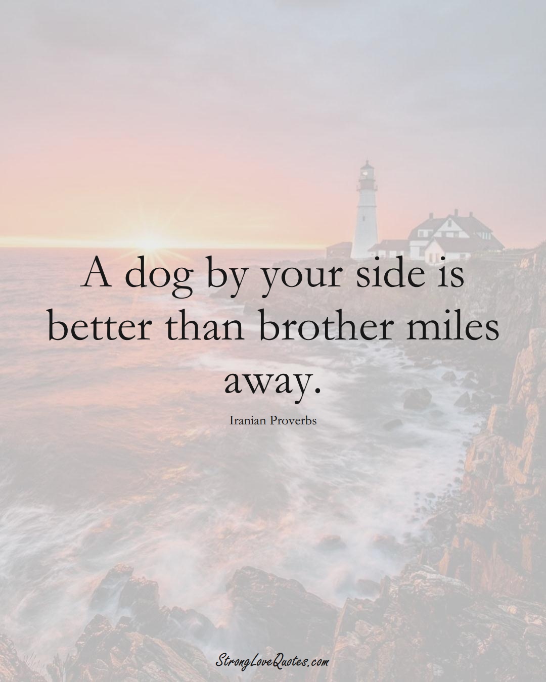 A dog by your side is better than brother miles away. (Iranian Sayings);  #MiddleEasternSayings
