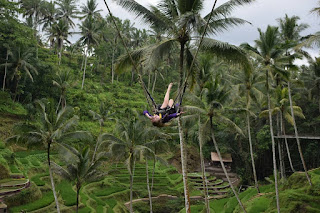 Ayunan Uma Pakel, Ubud merupakan destinasi wisata ayunan menyenangkan lainnya. Agrowisata Uma Pakel berdekatan dengan Sawah Terasering Tegalalang