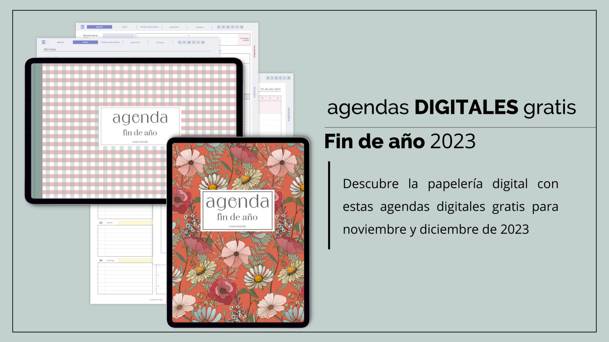 🥳💖Mi nueva agenda digital PRO 2021- 2022 😍🤩🤩 ¡Es la agenda