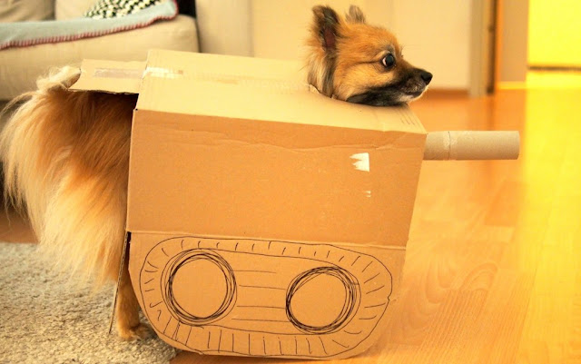 Barney the pomeranian, doggy dress up, 