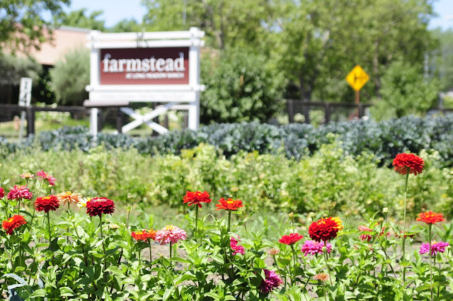 Visiting Farmstead garden