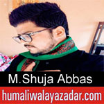 https://humaliwalaazadar.blogspot.com/2019/08/syed-mohammad-shuja-abbas-noha-2020.html