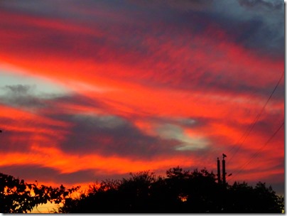 houston sky