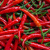 Eating Spicy chili peppers may help us live longer