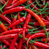 Eating Spicy chili peppers may help us live longer