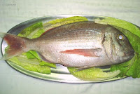 Urta