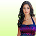 Katrina Kaif New Hd Hot Wallpapers 2013 subtat