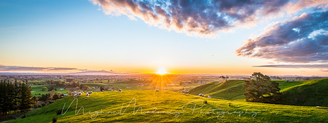 Rolling hills Waikato sunset