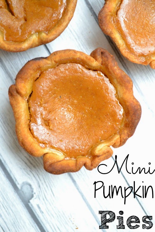 Mini Pumpkin Pies by Luv A Bargain