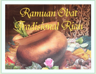 ramuan obat tradisional riau