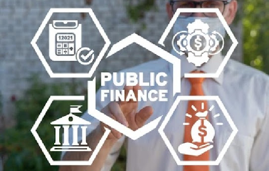 what is public finance | Public Financial Management System