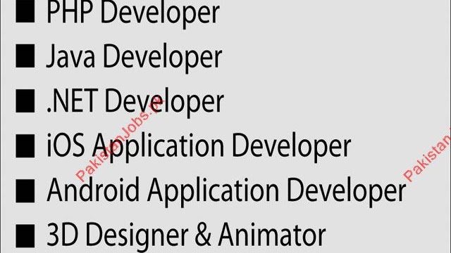 Software Developer - Application Developer Job Description
