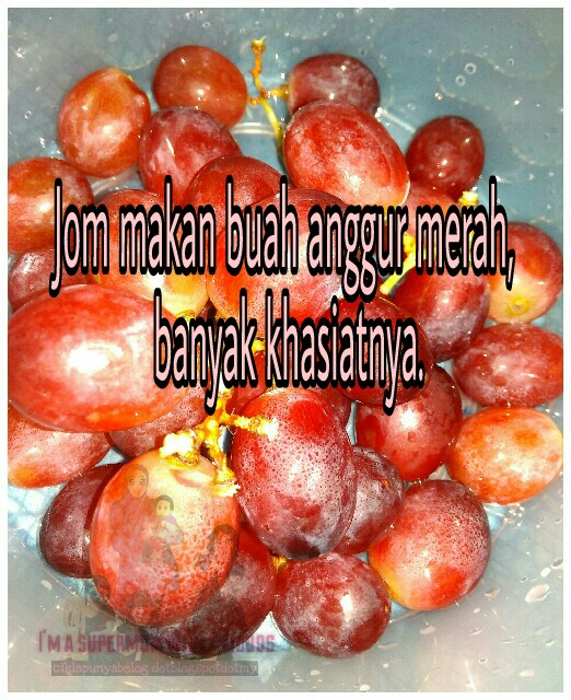 Jom makan buah anggur merah, banyak khasiatnya.