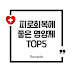 피로회복에 좋은 영양제 TOP 5! 에너지 충전이 필요한 당신에게