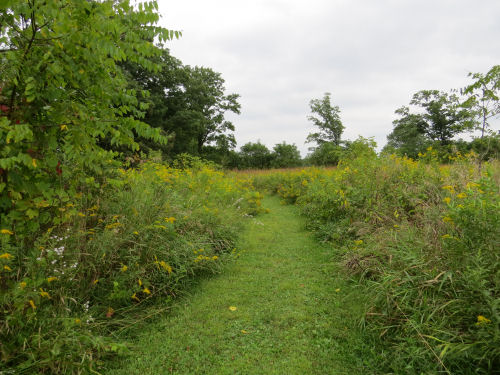 prairie path