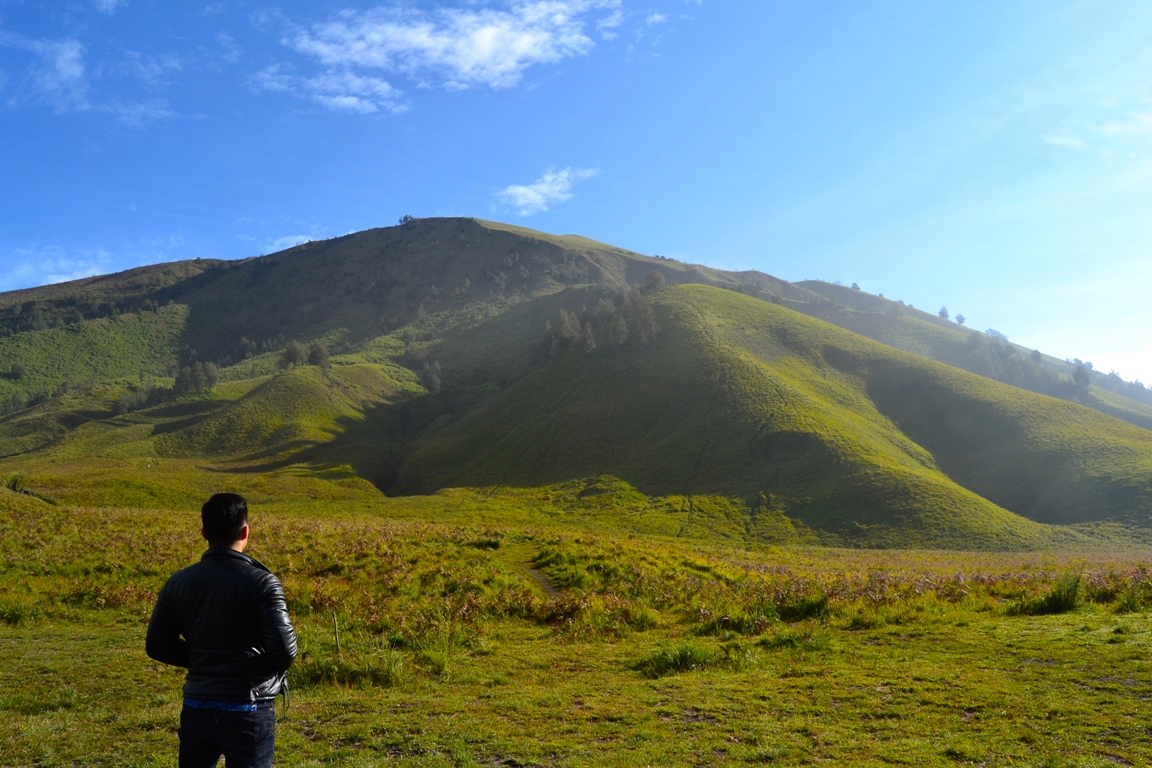 Bukit Teletubbies di Bromo