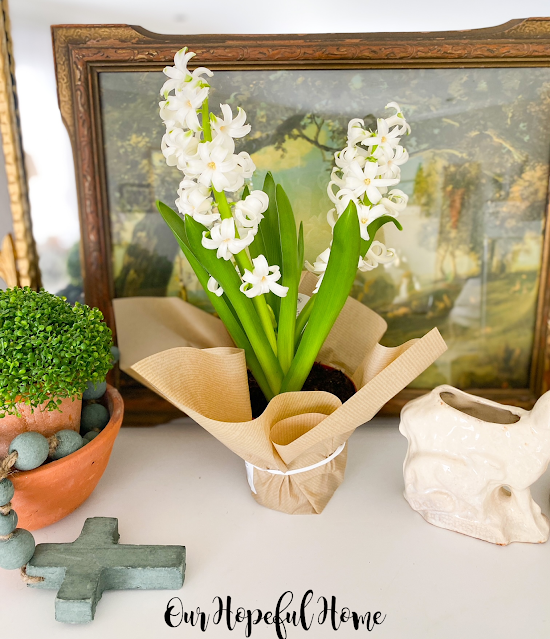 potted white hyacinth on mantel