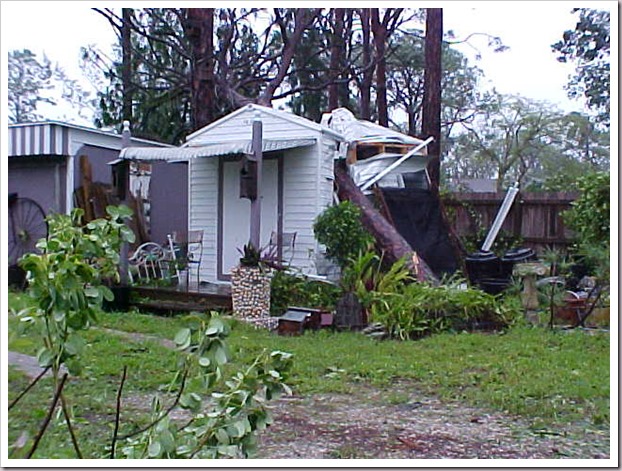 pineinshed