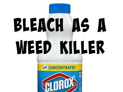 Bleach as a Weed Killer