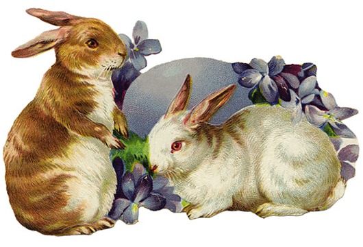 easter bunnies