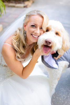 dog smiling with bride