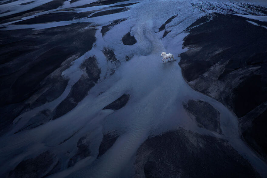 Captivating Photo Series Captures The Beauty Of Icelandic Horses