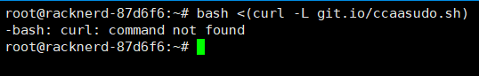 -bash: curl: command not found