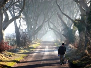 joging pagi melintasi the dark hedges irlandia