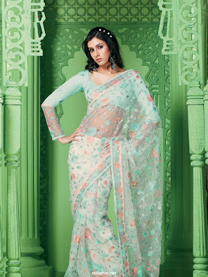 Bollywood Creative Sarees Collection 2011