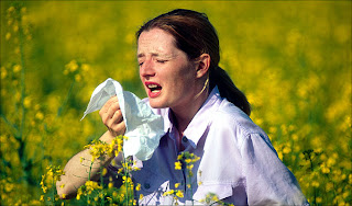 Hay Fever