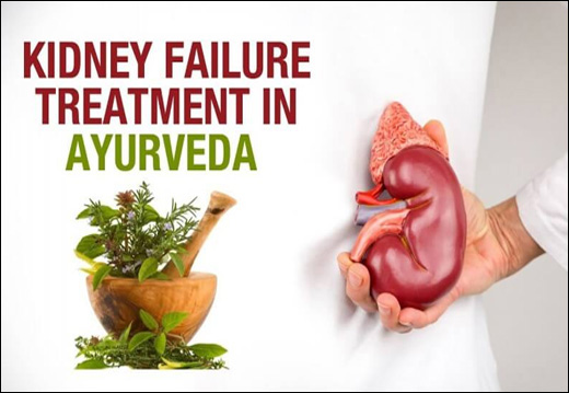 Kidney Failure Alternative Treatment, Kidney Failure, Ayurvedic Treatment, Alternative Treatment, Herbal Remedies, Herbal Supplements, Avoid Dialysis, Alternative Treatment of Kidney Failure, Chronic Kidney Failure, Diet in Renal Failure, Ayurvedic Medicines for Kidney Failure