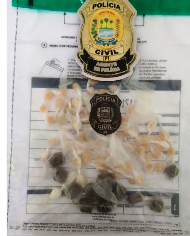 Polícia Civil do Piauí apreende crack e maconha na zona rural de Buriti dos Lopes