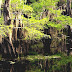 Caddo Lake - Natural Lake In Texas