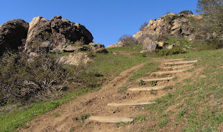 stairs in path