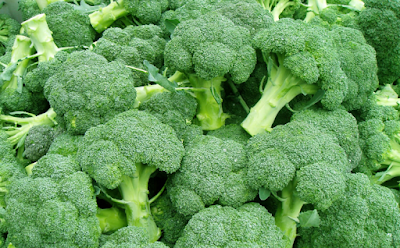 What Vegetables Have The Most Protein Broccoli