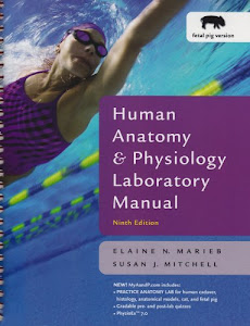 Human Anatomy and Physiology Lab Manual, Fetal Pig Version (text component)