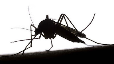 jinsi ya kuepukana na ugonjwa wa malaria sugu