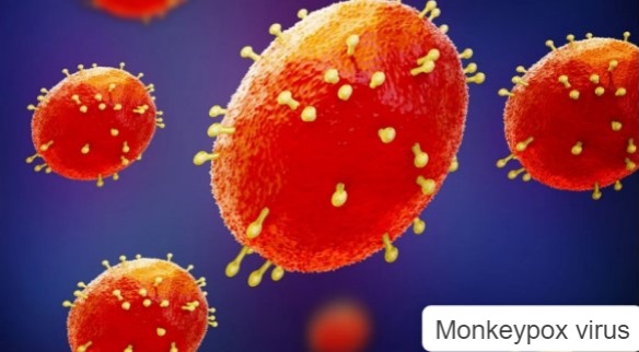 Monkeypox symptoms,preventive measures and treatment