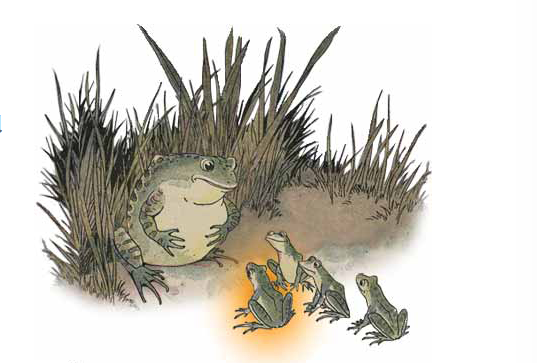 The Frog and the Ox an Aesop Fable