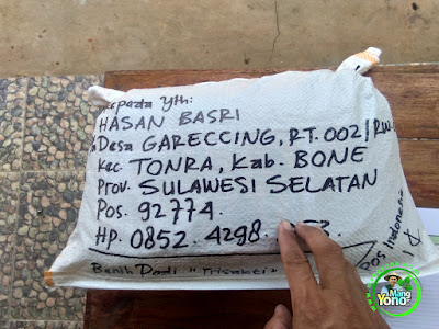  Benih pesanan HASAN BASRI Bone, Sulsel..  (Setelah Packing)