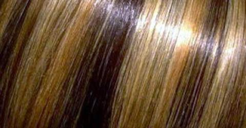 caramel hair colour on dark brown hair}