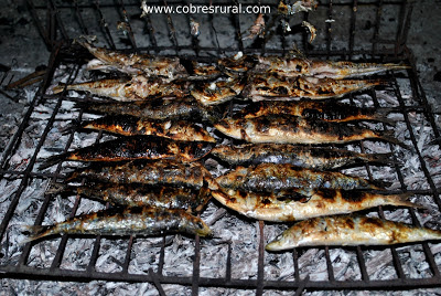 Sardinas, Noche de San Juan