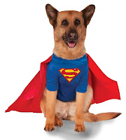 Cute Halloween Costumes for Dogs.