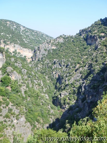 Barranco de la Garganta Verde (II)