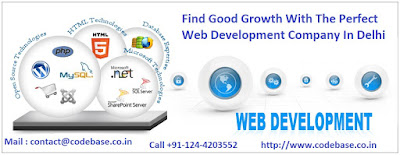 Perfect-Web-Development-Company-In-Delhi-NCR