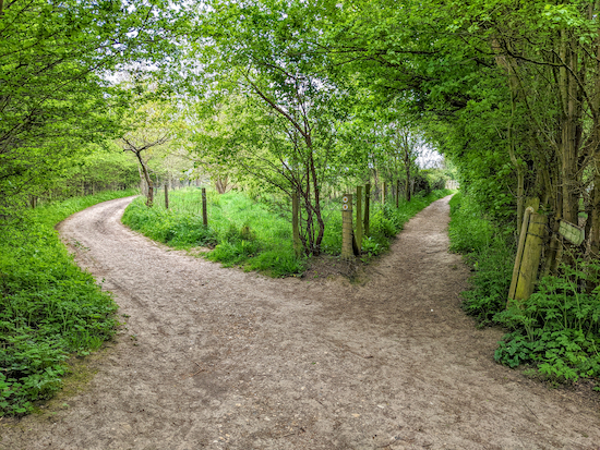 Turn left on Wheathampstead footpath 37